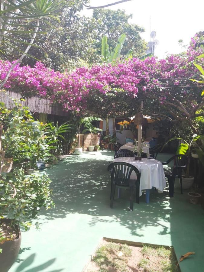 Pousada Terra Do Sol Pipa Praia de Pipa Екстер'єр фото